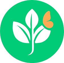 Image result for Maerua cafra