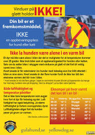 Att ha hunden lös i bilen är olagligt, precis som människor ska. Den Gule Hund Norge Photos Facebook