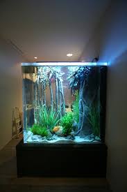 500 Gallon Freshwater Aquarium Design Aquarium Fish Tank