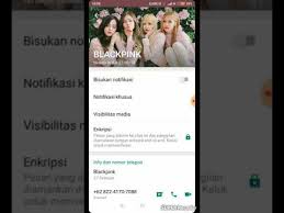 No artis tik tok asli. Nomor Telepon Artis Tik Tok Cara Golden