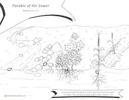 Soil color does not affect the behavior and use of soil; Parable Of The Sower Teach Us The Bible