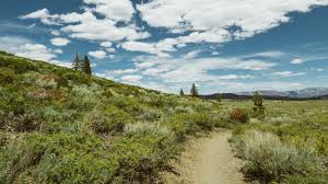 George yukimori semba age 97 of twin falls,passed away at ashley manor (kimberly) surrounded by his loving family on july 23rd of complications from. Semba