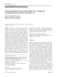 PDF) Enzymatic digestion in stomachless fishes: how a simple gut  accommodates both herbivory and carnivory