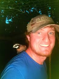 Flight conditioned quail for sale in SC