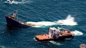 We accept exchanges within 30 days of the item's delivery date. 10 Things You Didn T Know About The Sinking Of Lulu Off Alabama Sport Diver