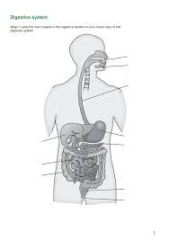 Organisms rely on their cells to perform all necessary functions of life. Diagram Facial Diagram To Label Full Version Hd Quality To Label Diagramaxcali Usrdsicilia It