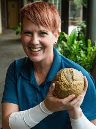 Armadillos in Tennessee: Expanding range brings fears of leprosy