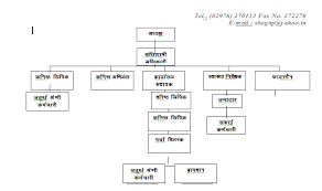 Organizational Chart