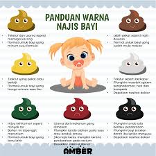 Maybe you would like to learn more about one of these? Panduan Warna Najis Bayi Amber Kids Apparel