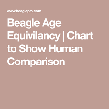 beagle age equivilancy chart to show human comparison