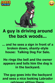 Pin On Silly Jokes