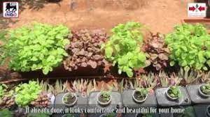 Pertama kita tentukan dulu dimana akan menanam sayur di rumah. Cara Mudah Tanam Sayuran Di Sekitar Rumah English Subbed Youtube
