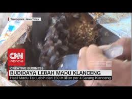 Check spelling or type a new query. Contoh Proposal Usaha Budidaya Lebah Madu Berbagi Contoh Proposal