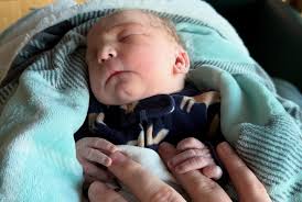 Blaine Sigler (@blainesigler) • Instagram photos and videos