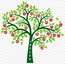 You can easily swap out art with these frames in just seconds. Family Tree Design Png Download 2482 2422 Free Transparent Genealogy Png Download Cleanpng Kisspng