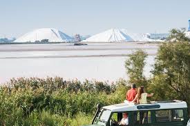 Safari 4x4 Grau Du Roi Grau Du Roi Visiter La Camargue Camargue