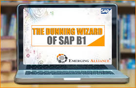 Dunning Wizard Of Sap B1 In 2020 Credit Agencies Dunning Financial Institutions