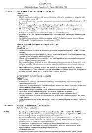 information security risk manager