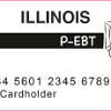 The illinois ebt card, also known as the illinois link card is similar to a standard atm or debit if you have additional questions about the link card including the illinois snap eligibility and. Https Encrypted Tbn0 Gstatic Com Images Q Tbn And9gctl3vprqdu8oxkhw451n8thatu7wjopqwq2bsx0jw8 Usqp Cau