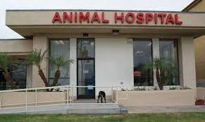 San diego bay pet hospital. San Diego Bay Animal Hospital San Diego Veterinary Clinic San Diego Vet Clinic Vet San Diego Animal Hospital Hospital San Diego Bay