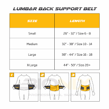 Details About Lumbar Back Support Belt Lower Pain Relief Adjustable Double Pull Brace Neoprene