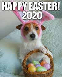 Tm + © 2021 vimeo, inc. Happy Easter Meme 2020 Funny Pictures Pics Photos For Facebook Happy Easter 2021 Images Quotes Wishes