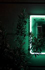 Dark Neon Tropical Dark Green Aesthetic Green Aesthetic Tumblr Green Aesthetic