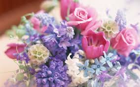 Pastel color, blush floral, text, computer wallpaper, color png. Flowers Pastel Colours Flower