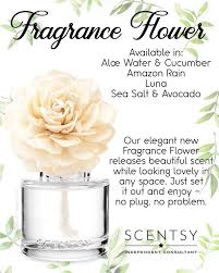 It depends on volatile compound produced in each flower. Scentsy New Fragrant Flower No Tracey S Scented Scents Facebook