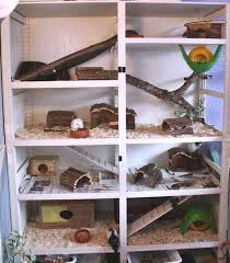 Huge Wooden Rat Cage I Love That It Has So Many Compartments My Chinchillas Would Love A Cage Like This Hausratten Ratte Haustier Farbratten