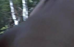Outdor Sex and Blowjob in Wood, Free Outdoor Porn Video 1d | xHamster