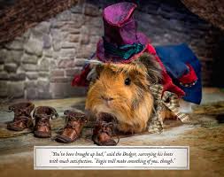 Bedtime stories cast guinea pig. A Guinea Pig Oliver Twist Guinea Pig Classics By Newall 9781408881262 Booktopia