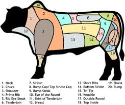 Mengenal Bagian Tubuh Sapi Sapi Bagian Tubuh