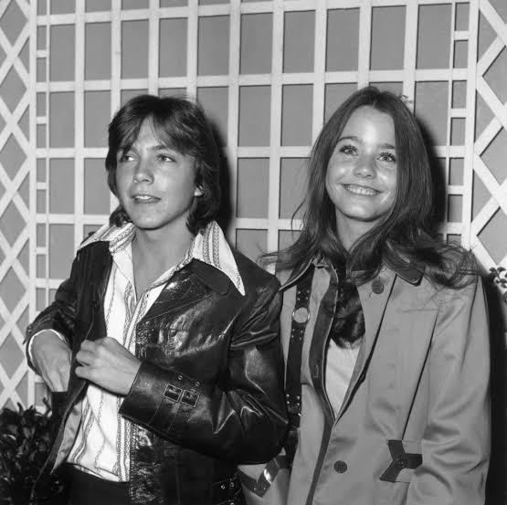 Susan Dey: What Happened to the 'Partridge Family' Star?