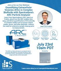 Leann Avery Naughton