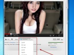 Image result for Xvideos