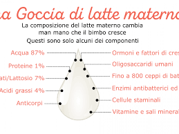 Ma cosa passa quindi nel latte materno di ciò che ingerisce la mamma? Come Cambia La Composizione Del Latte Materno Mamme Di Oggi