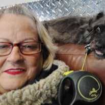 40 years + housemates in Johnnie, Pahrump, Nye County...