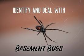 Both camouflage well amid certain plants. How To Identify And Deal With Basement Bugs Dengarden
