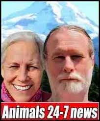 Charles River Labs sending bootlegged macaques back to traffickers