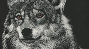 Maybe you would like to learn more about one of these? Wallpaper Wolf Drawing Art Predator Head Hd Picture Image