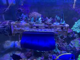 Earn 120 points upon purchasing this product. Cheap Diy Frag Rack Diy Forum Singapore Reef Club The Number One Resources Portal And Community For All Saltwater Reef Aquarium Keeping Hobby In Asia