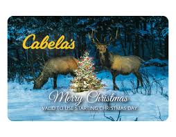 Gift cards can be used for shopping at all bass pro shops and cabela's locations, the q: Cabela S Bass Pro Special Gift Card 10 Off Gift Cards Limited Time Free 2 Day Shipping Over 50 Gun Deals