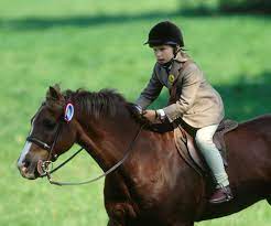 The original horse i rode was bred as a polo pony and should never have been an event horse, but it worked, so that. She Got It From Her Mama Mia Tindall Starts Riding Lessons Zara Phillips Royal Family England Princess Anne
