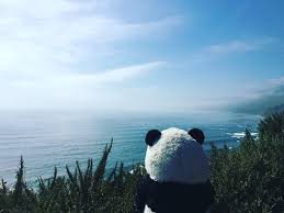 And get even more transparency around. Big Sur Bear Blank Status Flickr
