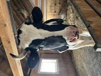 Open Barn