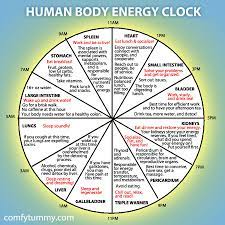 Human Body Energy Clock Comfy Tummy Body Energy Energy Medicine Holistic Health