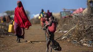 It has an area of 77,867 km² and a population of 1,650,270. Mozambique Cabo Delgado Conflict Leaves 1 3m Insecure