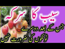 Apple Vinegar Benefits Urdu Hindi Saib Ka Sirka Faide 11 Totke Youtube In 2020 Apple Vinegar Benefits Vinegar Benefits Apple Vinegar