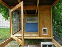 The catio outdoor cat enclosure is the perfect solution. Cat Enclosures